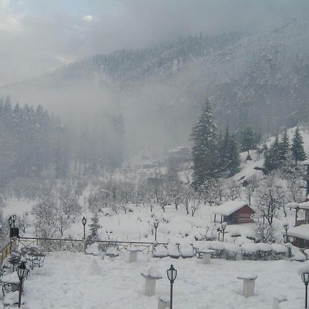 Snow Valley Resorts & Spa Manali Ngoại thất bức ảnh