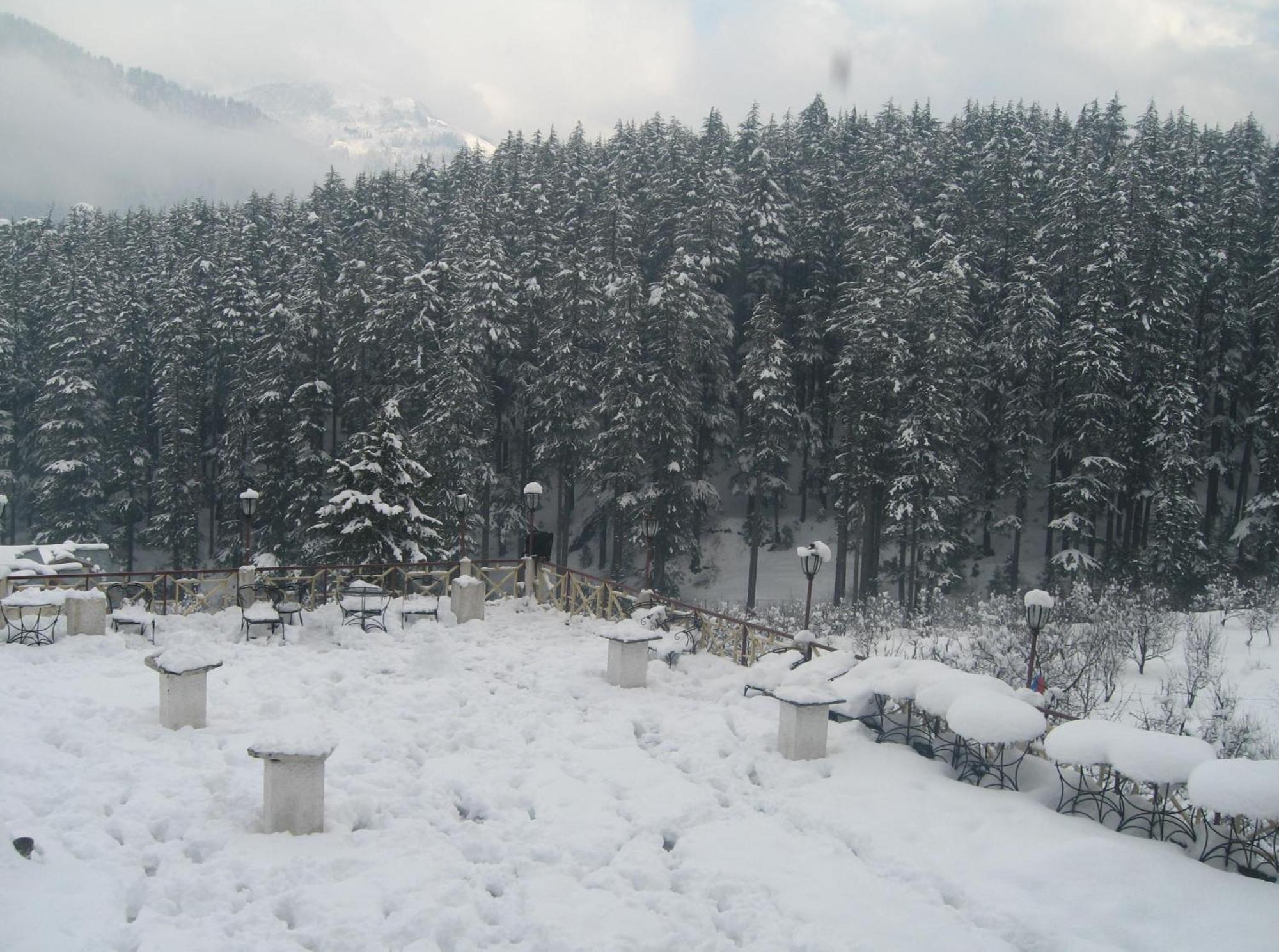 Snow Valley Resorts & Spa Manali Ngoại thất bức ảnh