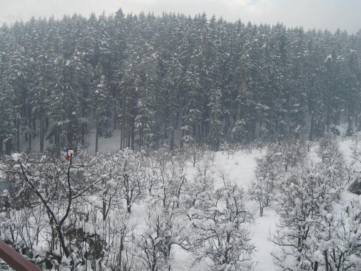 Snow Valley Resorts & Spa Manali Ngoại thất bức ảnh